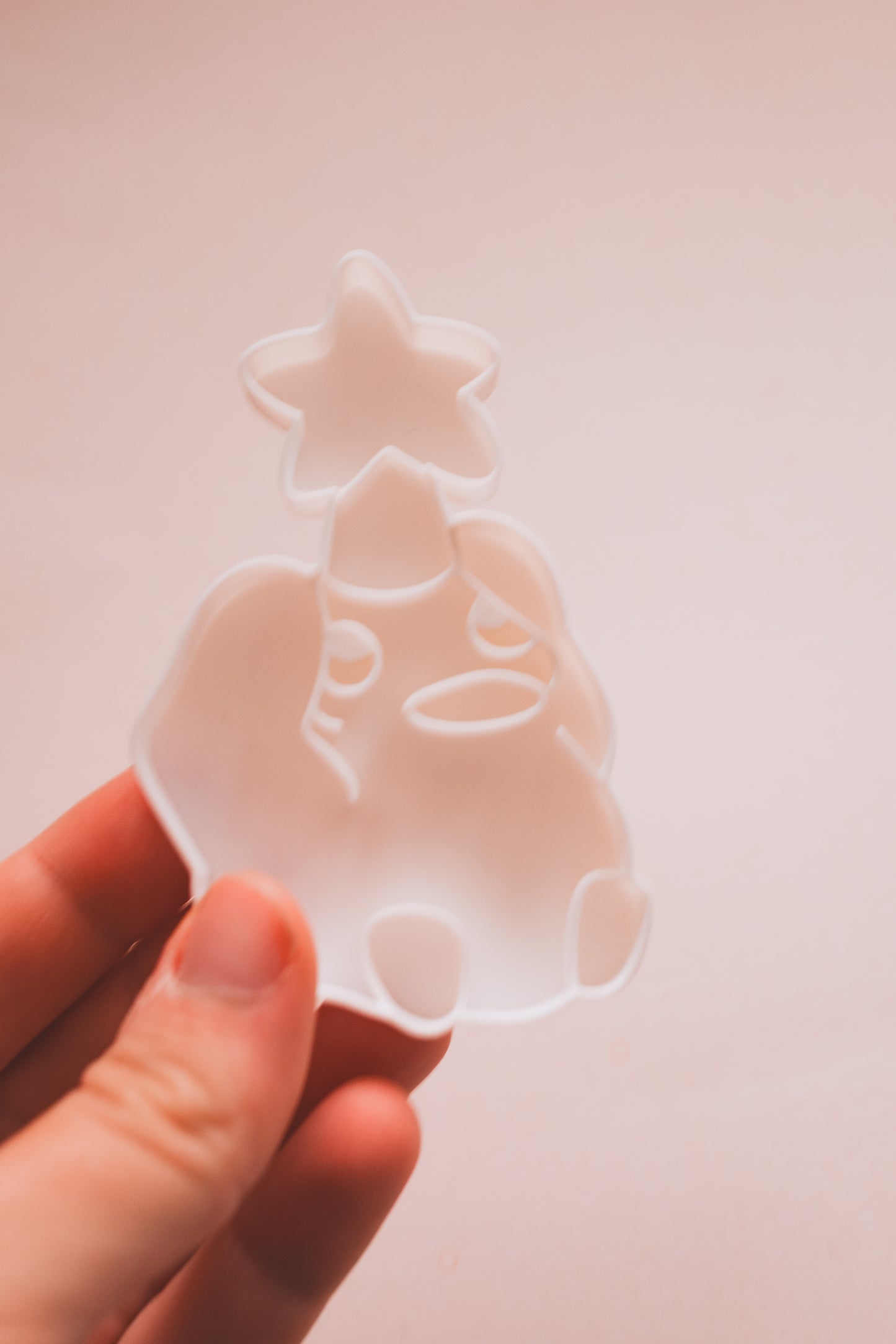 Emporte pièce - Canard étoile