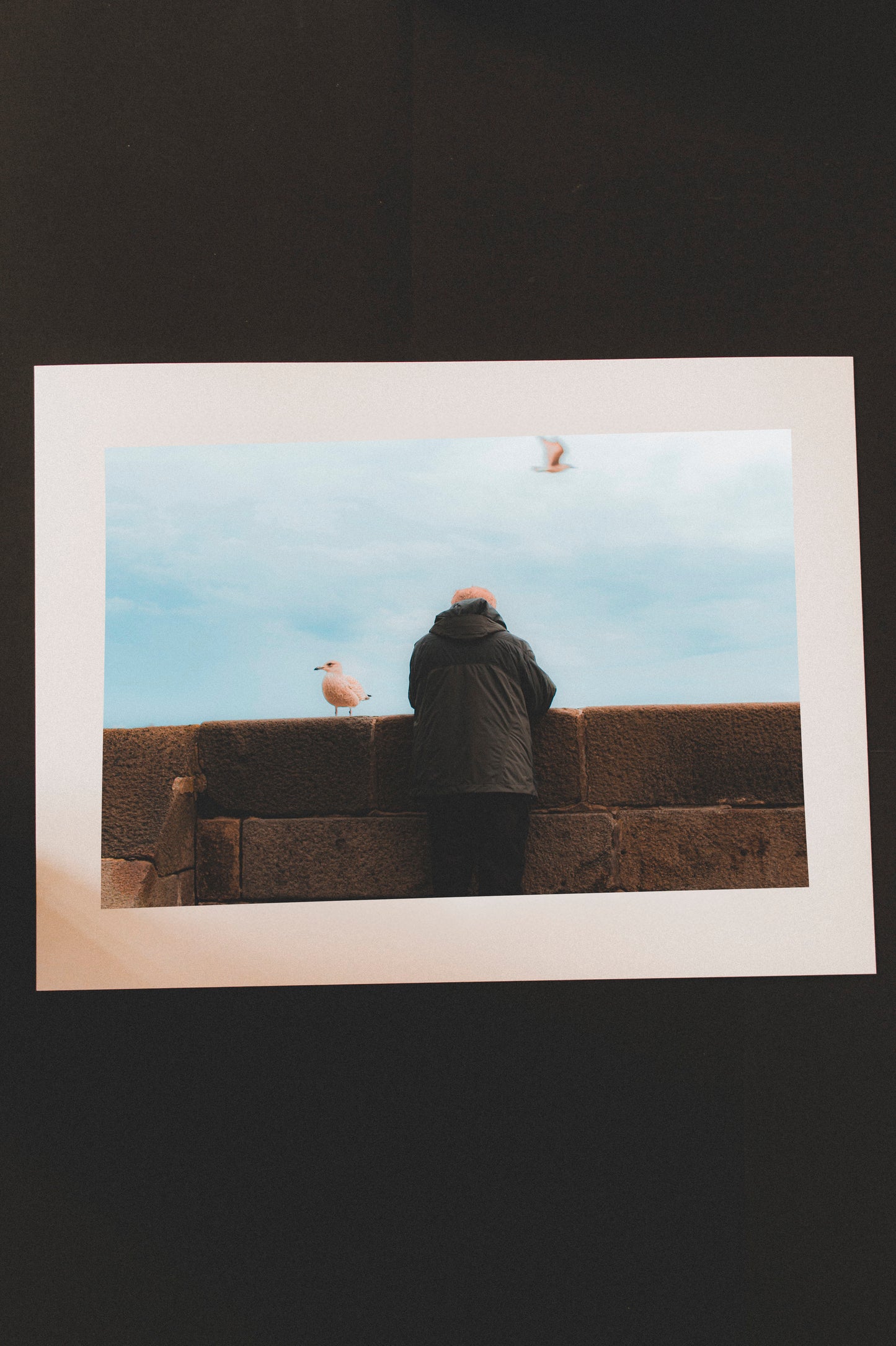 Tirage - Homme mouette