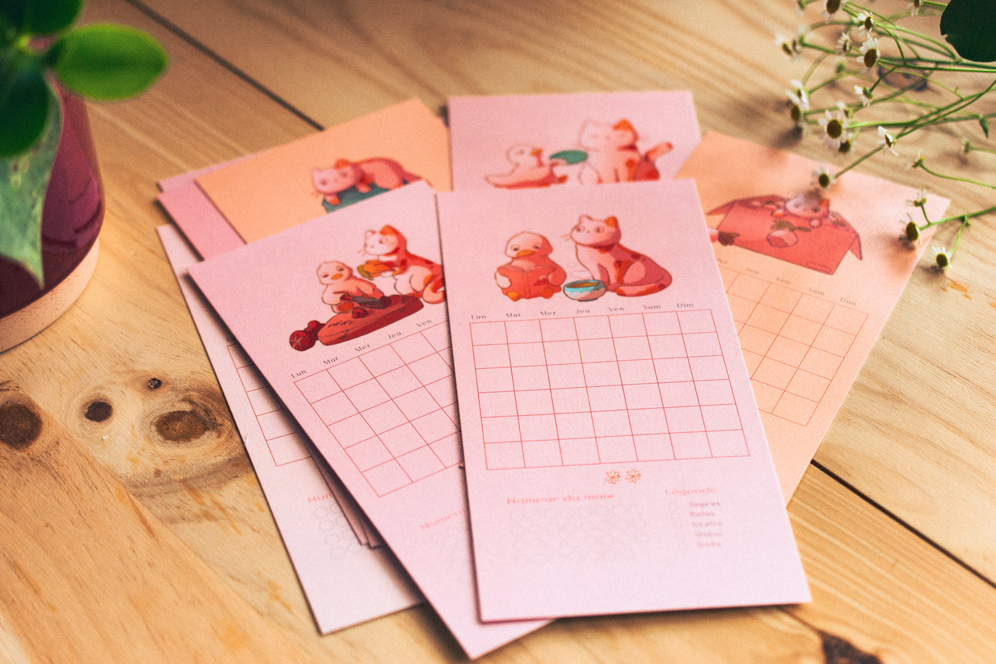 Calendar cards