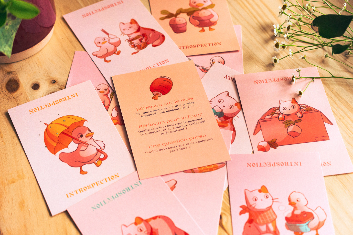 Introspection cards