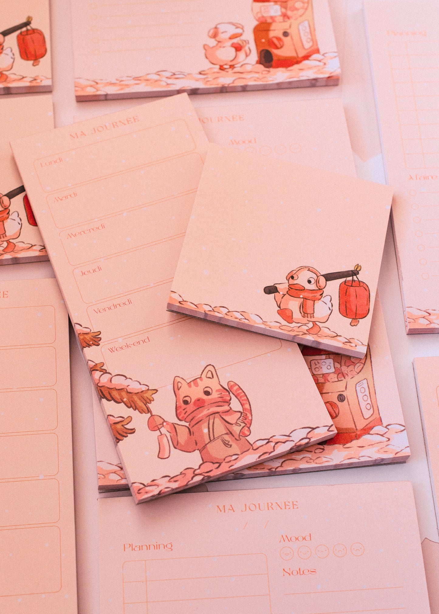 Notepad set - Spring ducks