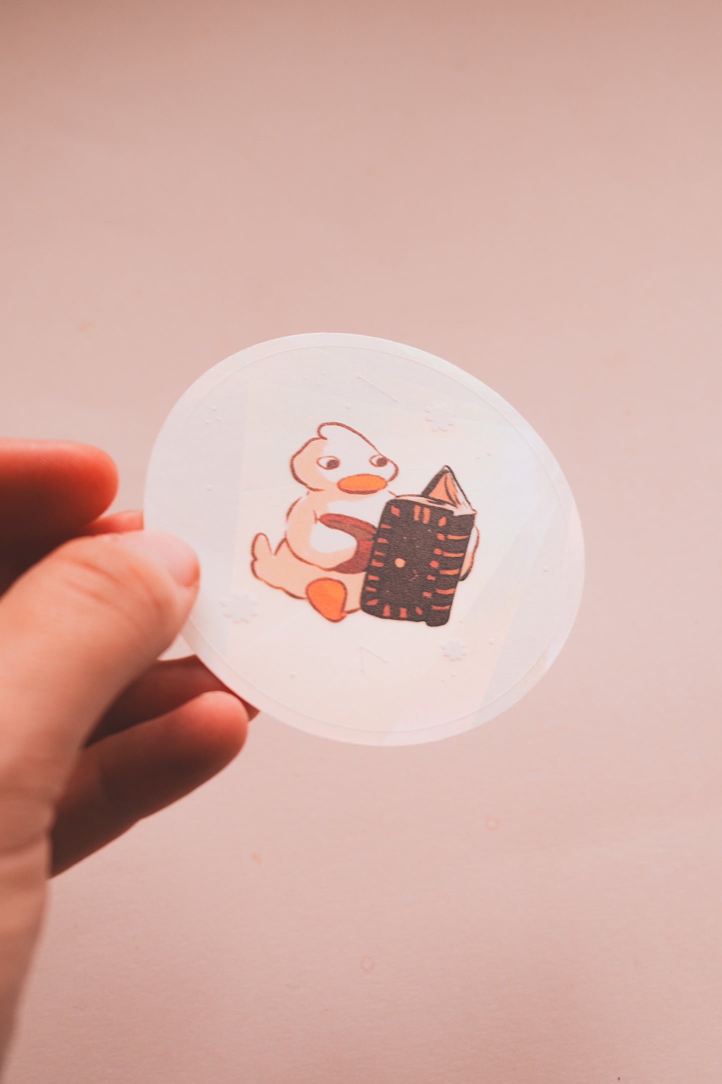 Sun catcher - Canard lecture